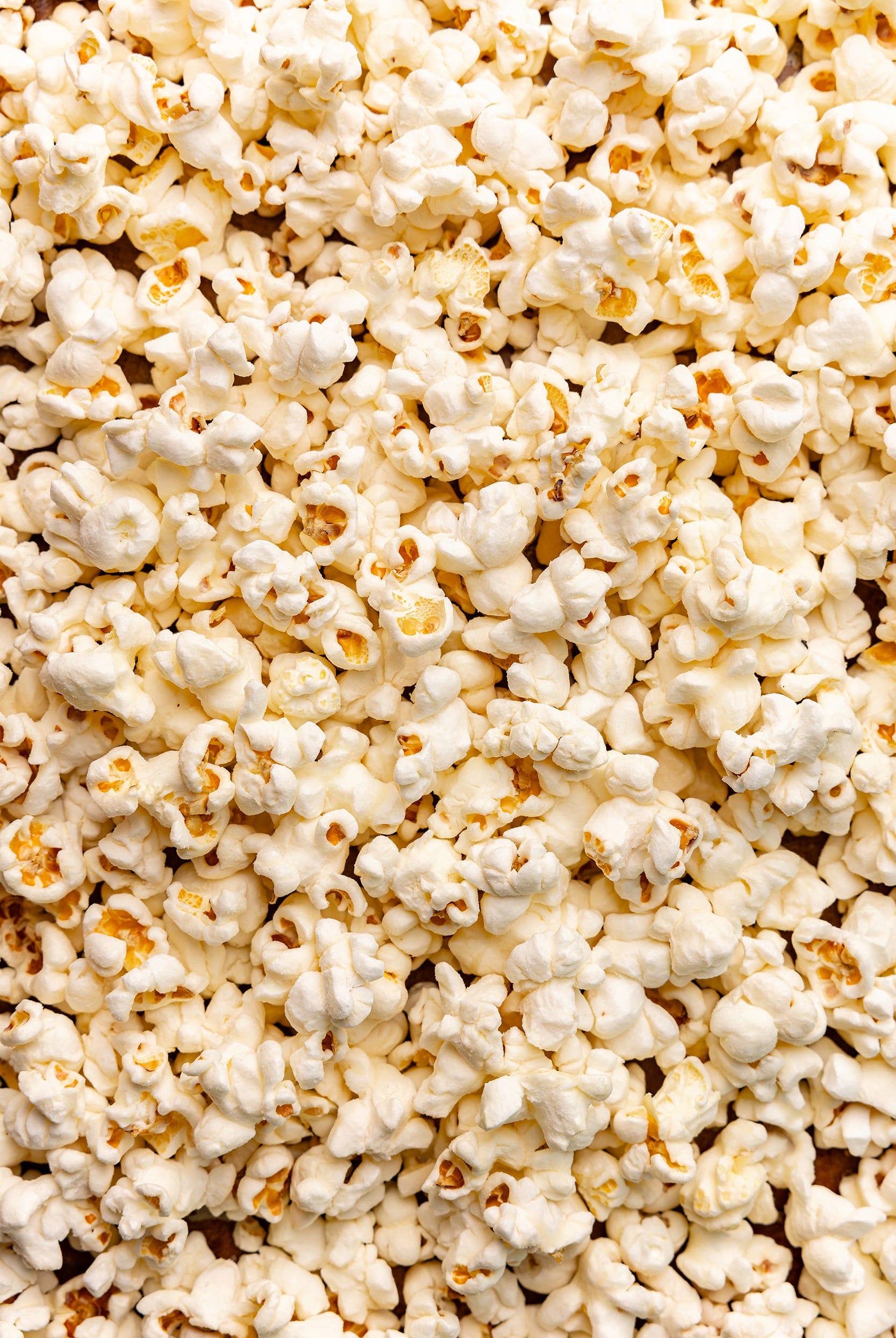 White Cheddar Popcorn-330 Food-Poppy Hand-Crafted Popcorn-The Lovely Closet, Women's Fashion Boutique in Alexandria, KY