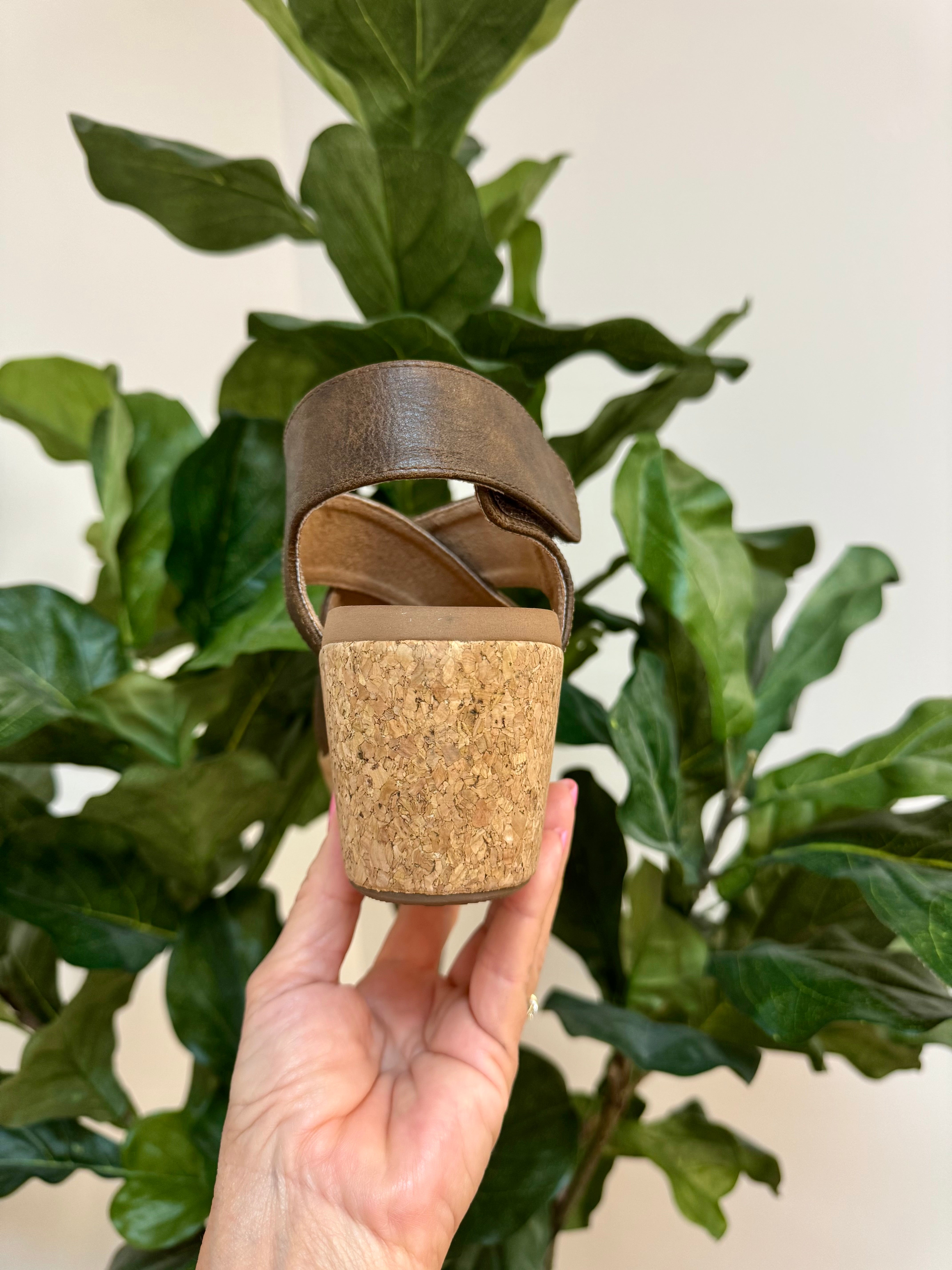 Corkys Case Closed - Chocolate-270 Shoes-Corkys-The Lovely Closet, Women's Fashion Boutique in Alexandria, KY