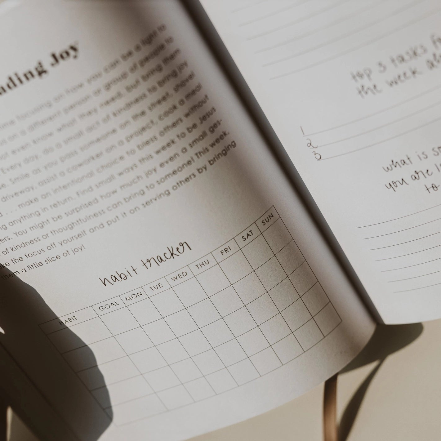 Inspirational Productivity Journal-310 Gift-Sweet Water Decor-The Lovely Closet, Women's Fashion Boutique in Alexandria, KY