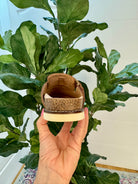 Corkys Day Dream - Cognac-270 Shoes-Corkys-The Lovely Closet, Women's Fashion Boutique in Alexandria, KY