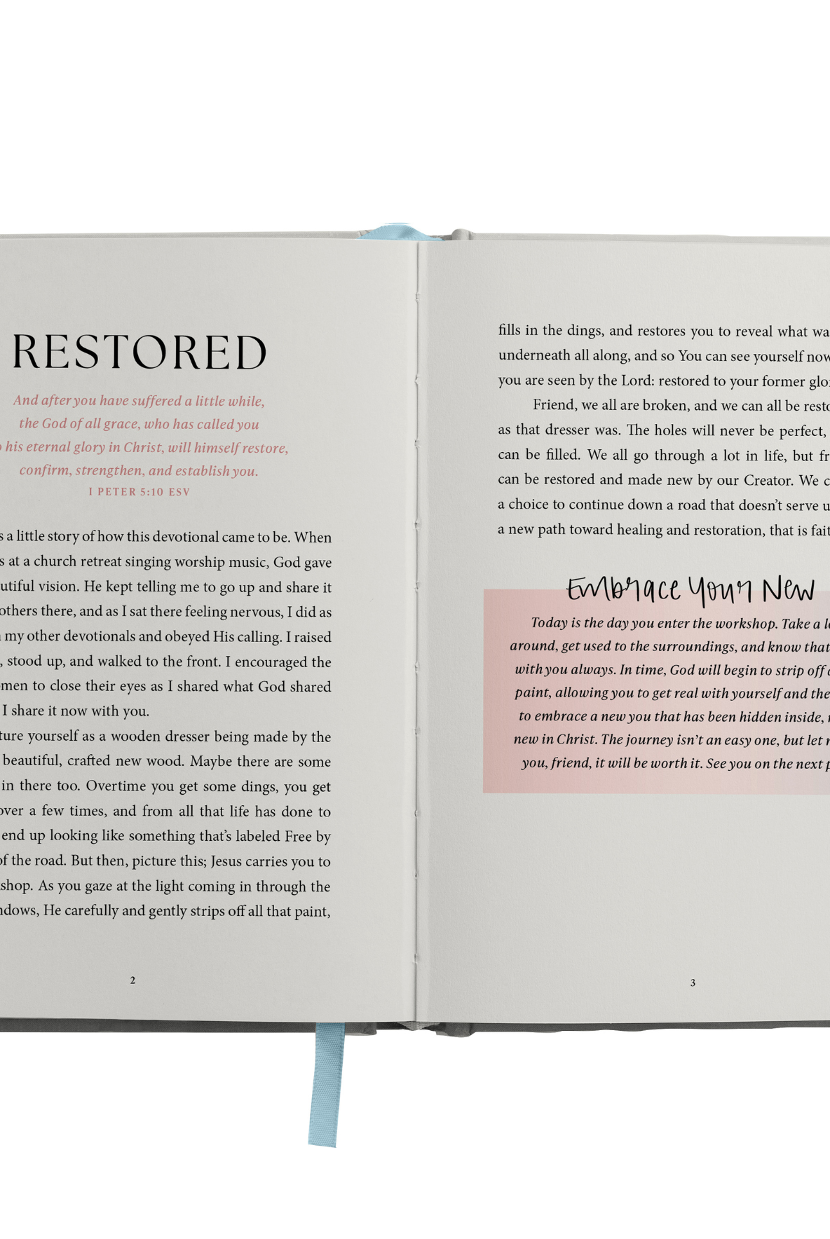 Embrace Your New Devotional-310 Gift-Sweet Water Decor-The Lovely Closet, Women's Fashion Boutique in Alexandria, KY