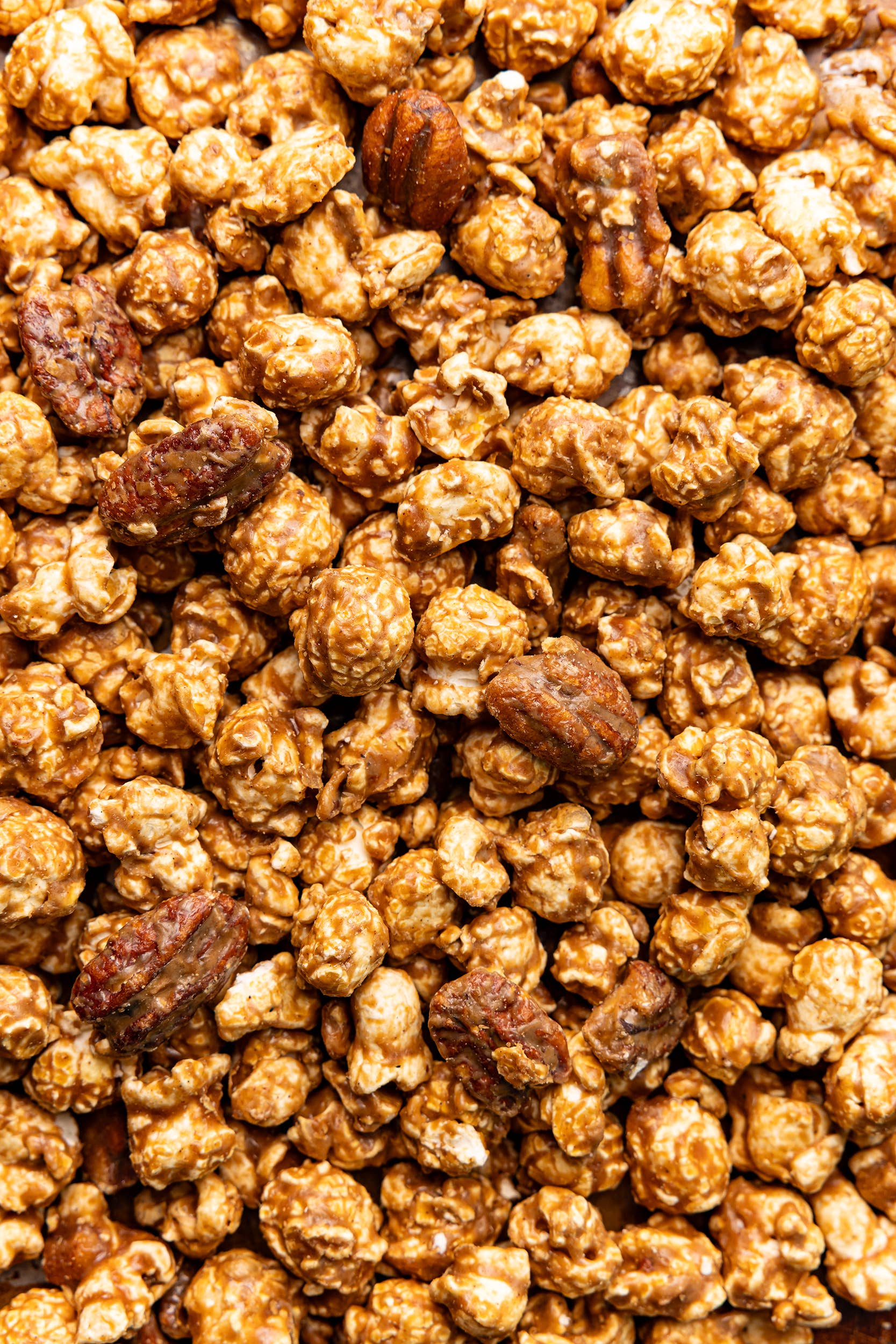 Cinnamon Bourbon Pecan Popcorn-330 Food-Poppy Hand-Crafted Popcorn-The Lovely Closet, Women's Fashion Boutique in Alexandria, KY