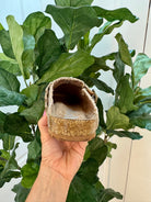 Very G Iris 3 - Beige-270 Shoes-Very G-The Lovely Closet, Women's Fashion Boutique in Alexandria, KY