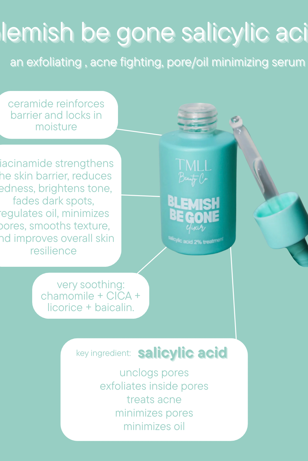 TMLL Skin Candy Blemish Be Gone Salicylic Acid Serum-250 - TMLL Beauty Co - Skincare-TMLL Beauty Co-The Lovely Closet, Women's Fashion Boutique in Alexandria, KY