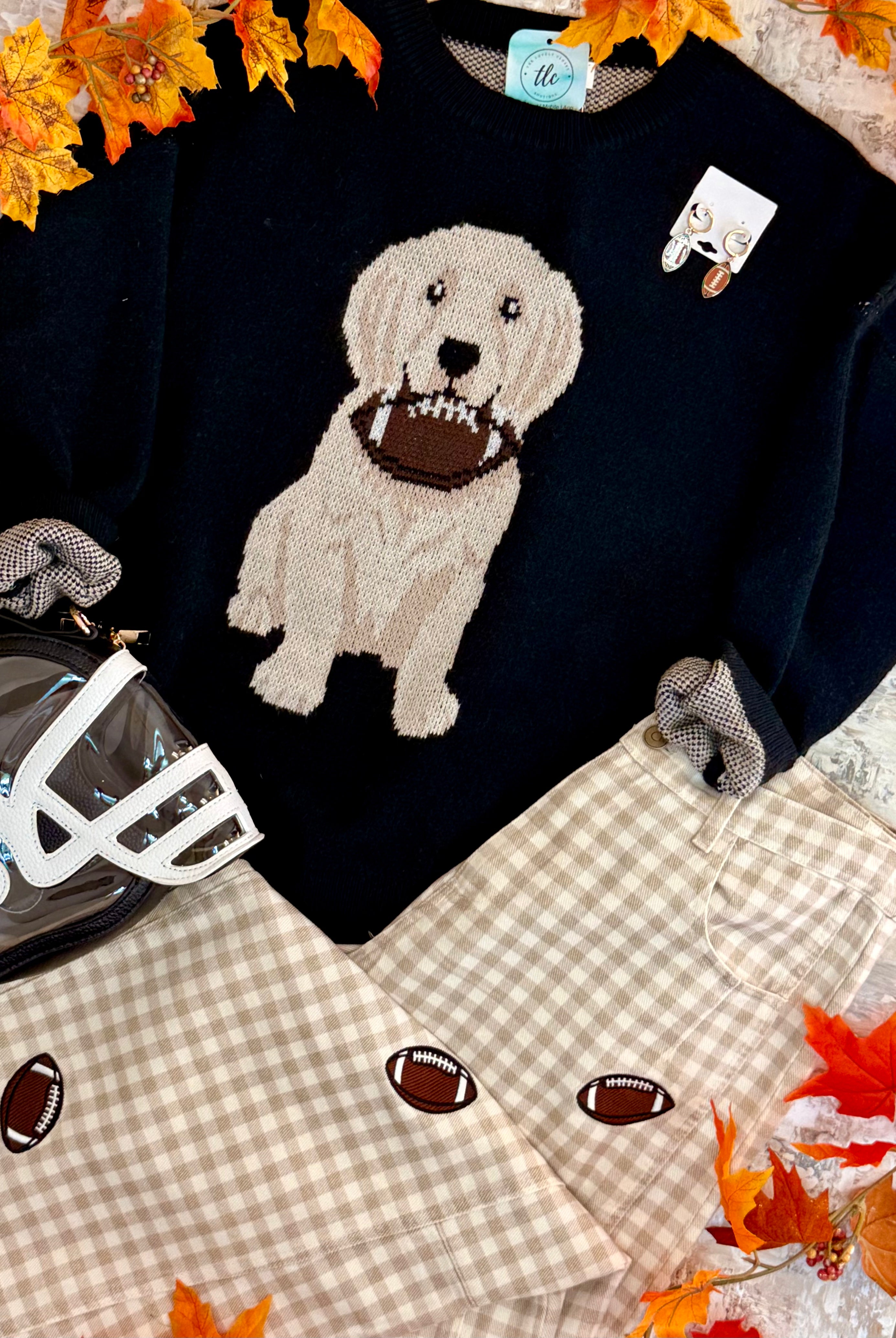 Football Pup Sweater - Black-140 Sweaters-Sewn and Seen-The Lovely Closet, Women's Fashion Boutique in Alexandria, KY