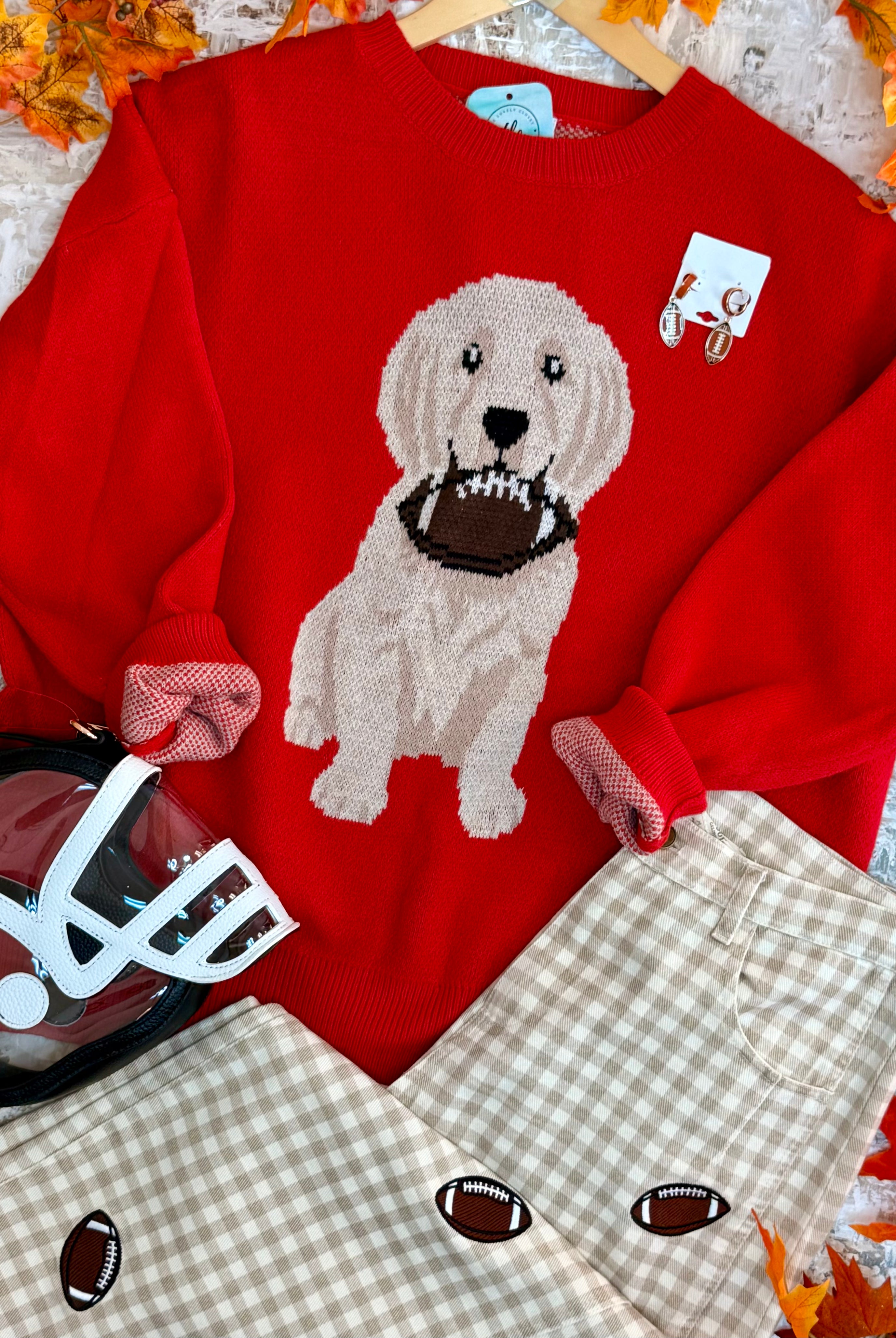 Football Pup Sweater - Red-140 Sweaters-Sewn and Seen-The Lovely Closet, Women's Fashion Boutique in Alexandria, KY