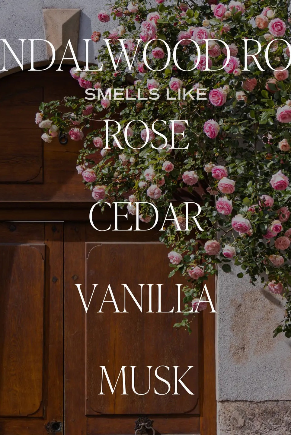 Sandalwood Rose 11 oz Soy Candle-310 Gift-Sweet Water Decor-The Lovely Closet, Women's Fashion Boutique in Alexandria, KY