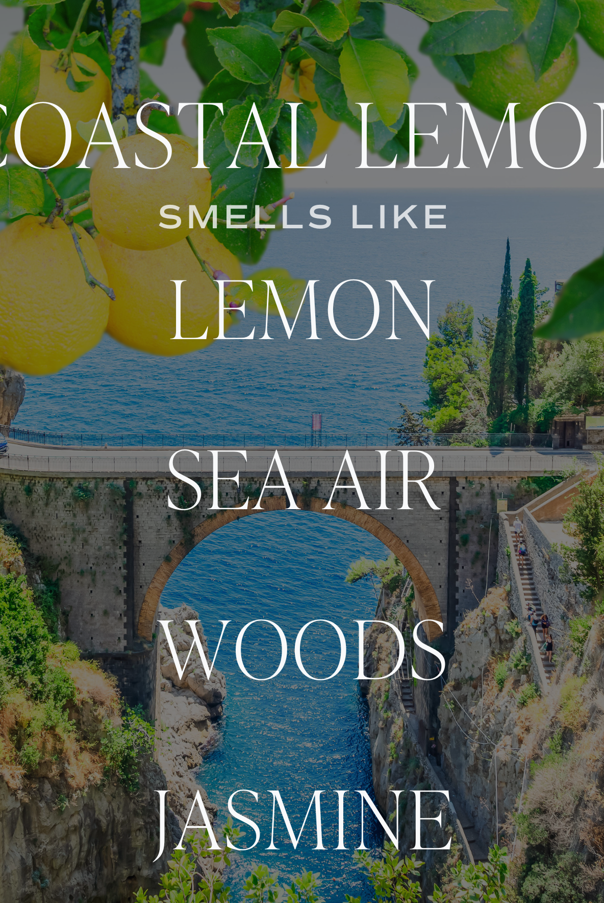 Coastal Lemon 11 oz Soy Candle-310 Gift-Sweet Water Decor-The Lovely Closet, Women's Fashion Boutique in Alexandria, KY