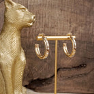 Classic Bubble Hoops – Gold with Crystal-250 Jewelry-PennyLine inc-The Lovely Closet, Women's Fashion Boutique in Alexandria, KY