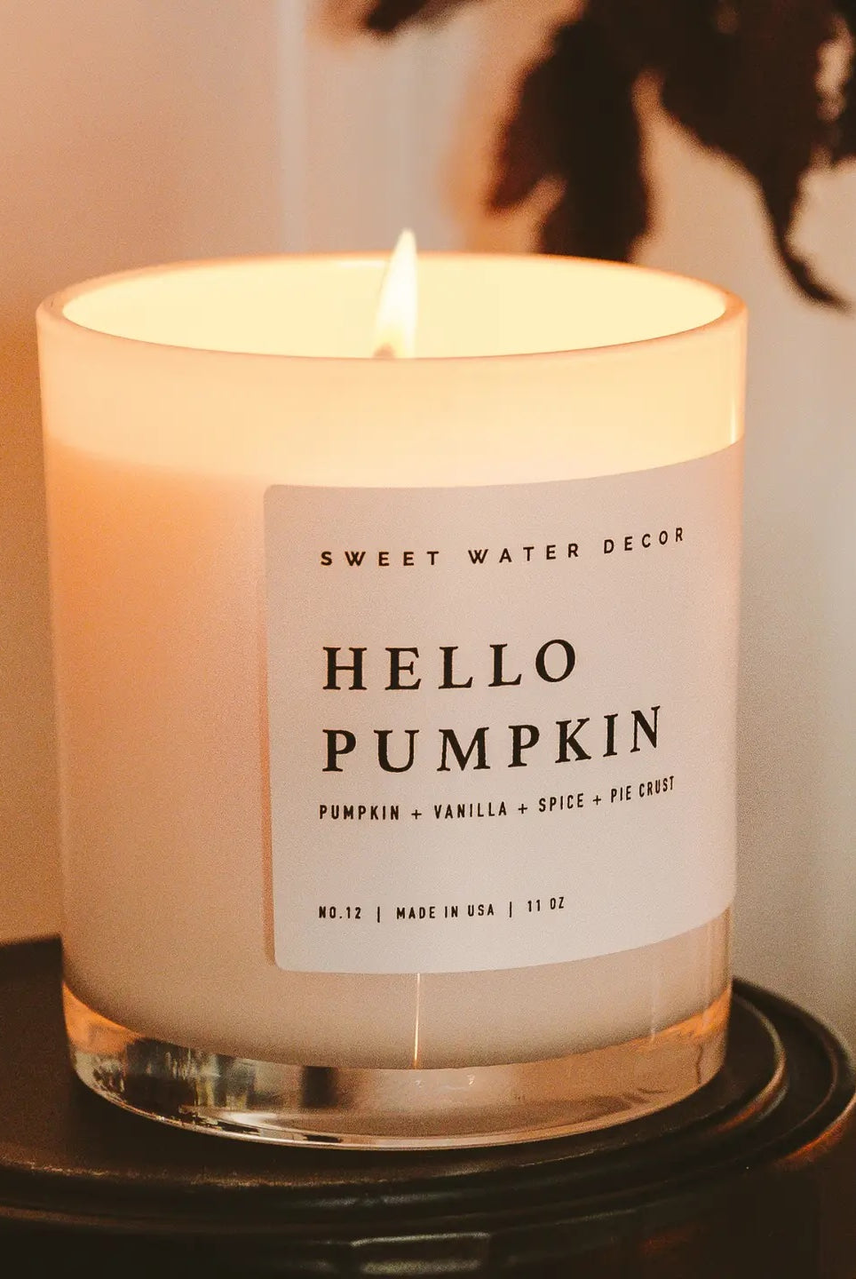Hello Pumpkin 11 oz Soy Candle-310 Gift-Sweet Water Decor-The Lovely Closet, Women's Fashion Boutique in Alexandria, KY