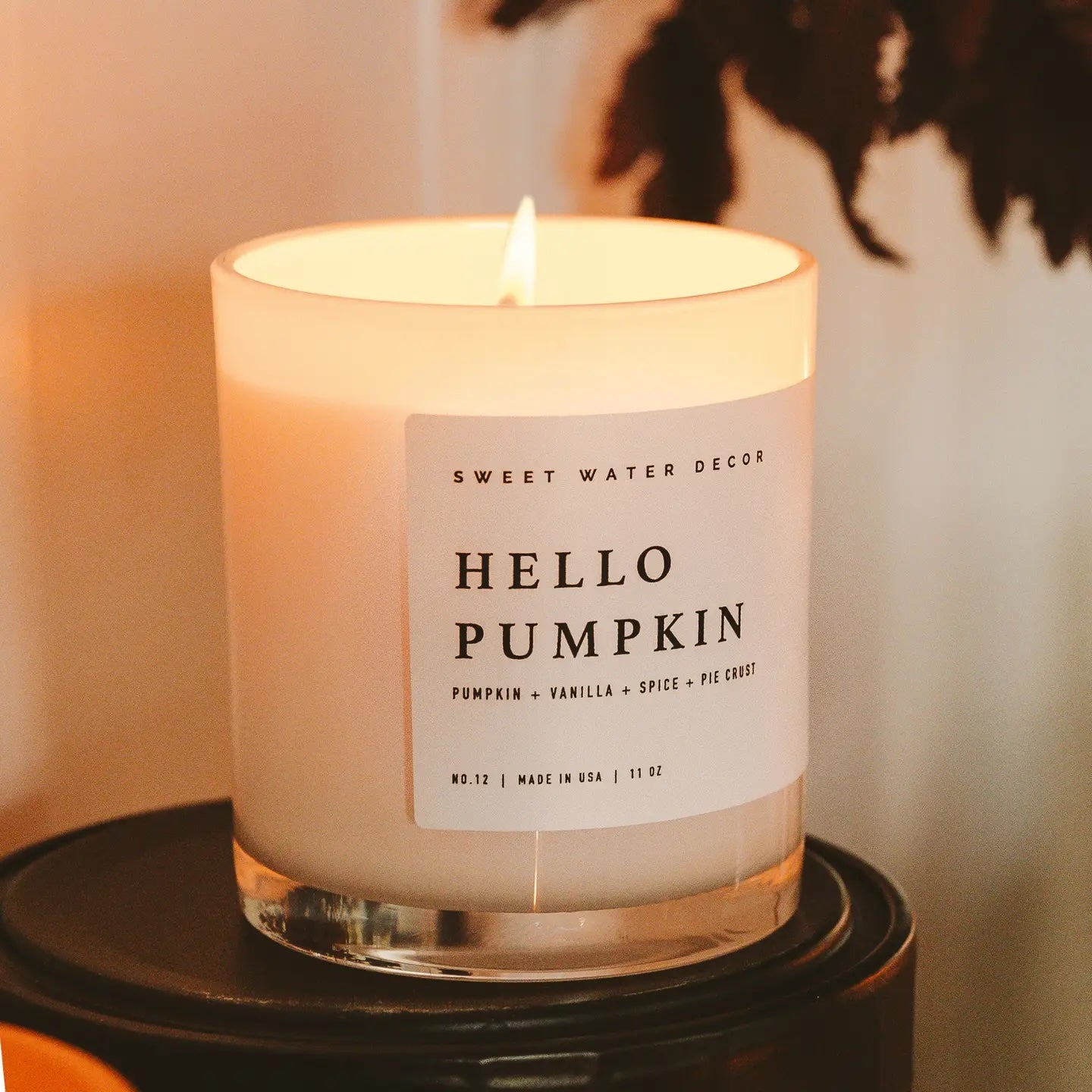 Hello Pumpkin 11 oz Soy Candle-310 Gift-Sweet Water Decor-The Lovely Closet, Women's Fashion Boutique in Alexandria, KY