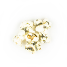 Dill Pickle Popcorn-330 Food-Poppy Hand-Crafted Popcorn-The Lovely Closet, Women's Fashion Boutique in Alexandria, KY