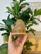 Corkys Who Knew Clog - Tan-270 Shoes-Corkys-The Lovely Closet, Women's Fashion Boutique in Alexandria, KY