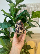 Corkys Own it - Black Leopard-270 Shoes-Corkys-The Lovely Closet, Women's Fashion Boutique in Alexandria, KY