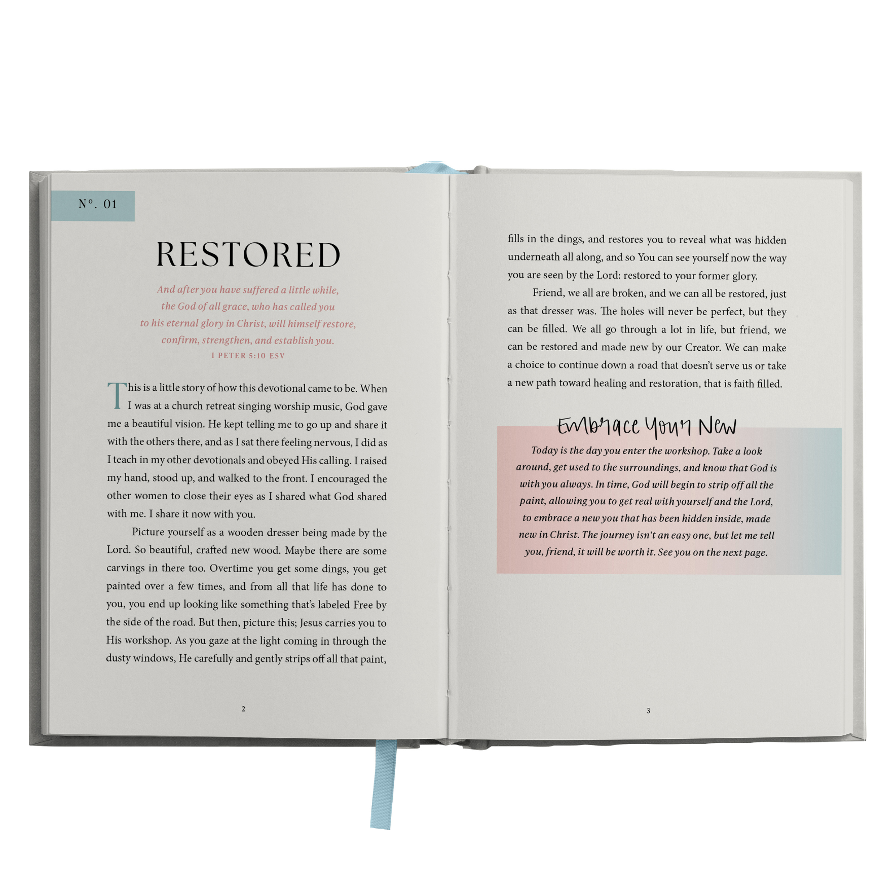 Embrace Your New Devotional-310 Gift-Sweet Water Decor-The Lovely Closet, Women's Fashion Boutique in Alexandria, KY