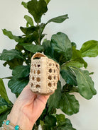 Corkys Hey Girl Mixed Feelings-270 Shoes-Corkys-The Lovely Closet, Women's Fashion Boutique in Alexandria, KY