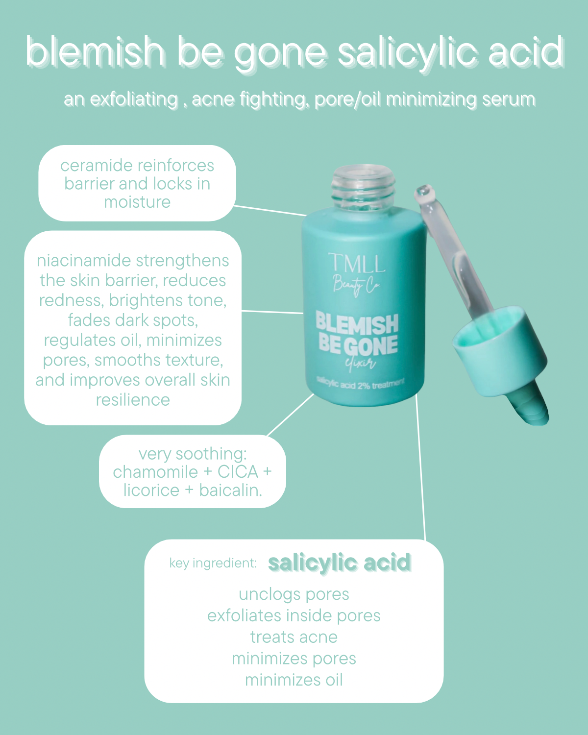 TMLL Skin Candy Blemish Be Gone Salicylic Acid Serum-250 - TMLL Beauty Co - Skincare-TMLL Beauty Co-The Lovely Closet, Women's Fashion Boutique in Alexandria, KY