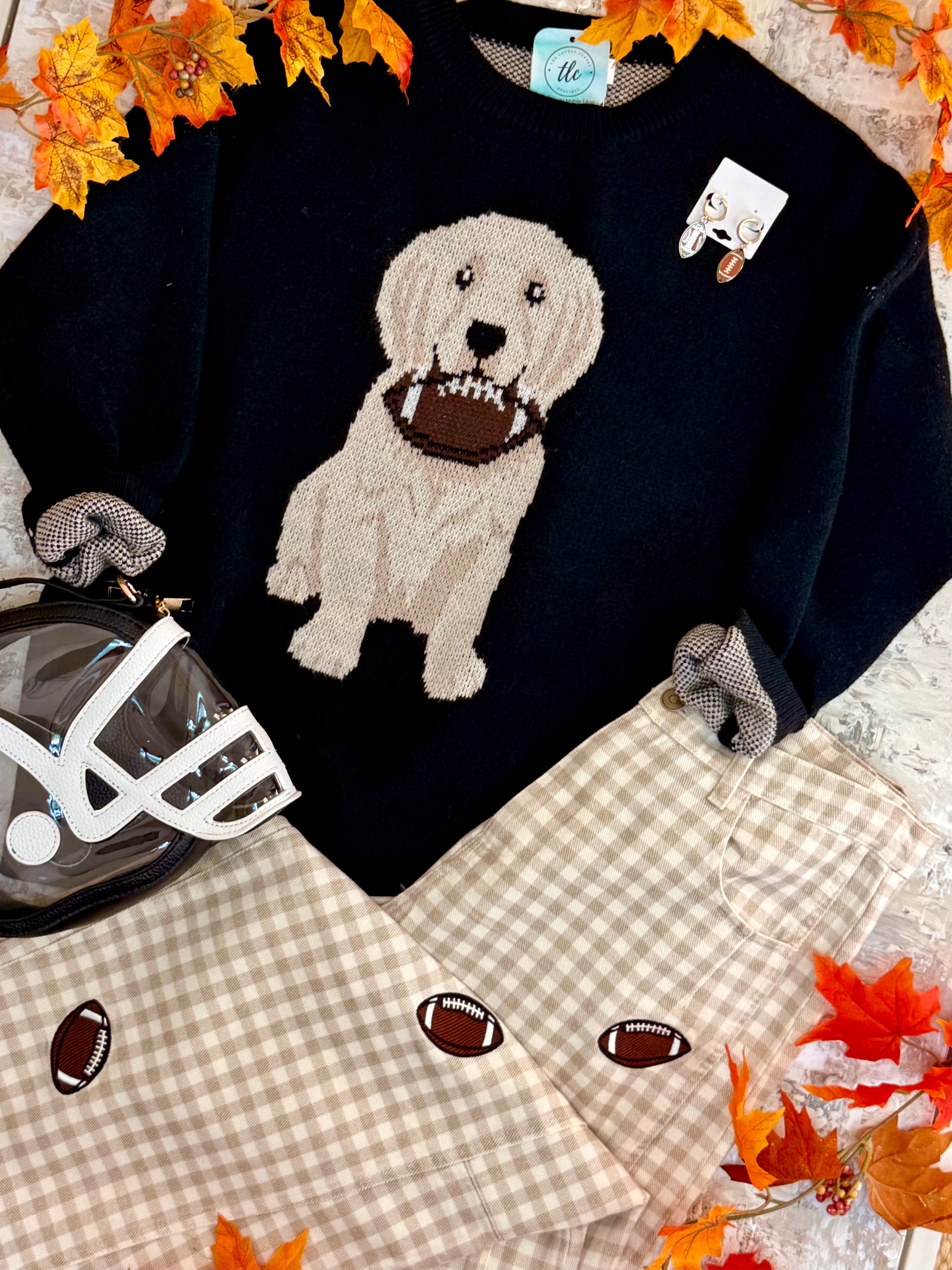 Football Pup Sweater - Black-140 Sweaters-Sewn and Seen-The Lovely Closet, Women's Fashion Boutique in Alexandria, KY
