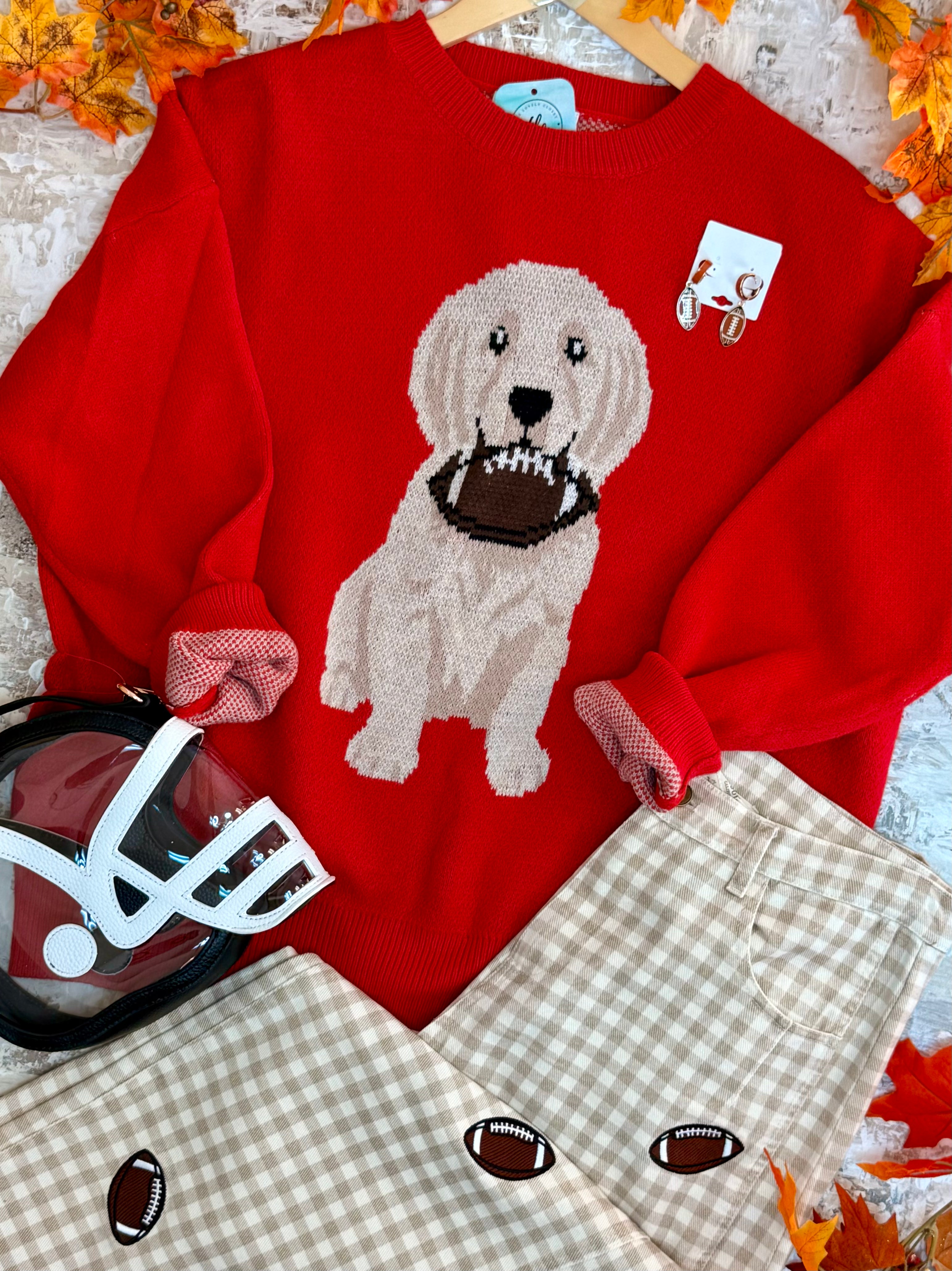 Football Pup Sweater - Red-140 Sweaters-Sewn and Seen-The Lovely Closet, Women's Fashion Boutique in Alexandria, KY