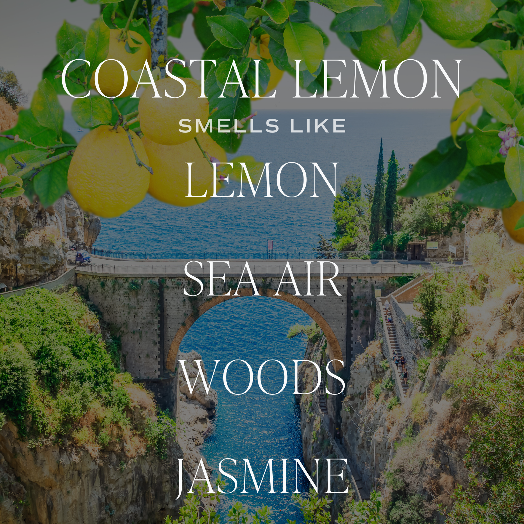 Coastal Lemon 11 oz Soy Candle-310 Gift-Sweet Water Decor-The Lovely Closet, Women's Fashion Boutique in Alexandria, KY