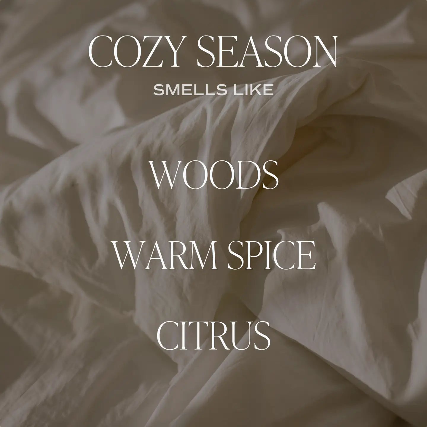 Cozy Season 15oz Soy Candle-310 Gift-Sweet Water Decor-The Lovely Closet, Women's Fashion Boutique in Alexandria, KY