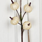 Mini Pumpkin Twig-310 Gift-The Lovely Closet-The Lovely Closet, Women's Fashion Boutique in Alexandria, KY